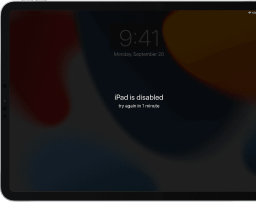 Ipad Disable